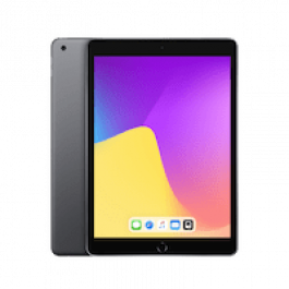 iPad 9 256GB WiFi + Cellular