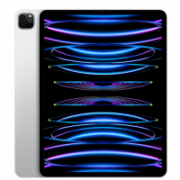 iPad Pro 6 12.9" 1TB WiFi + Cellular