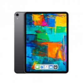 iPad Pro 1 11" 256GB WiFi